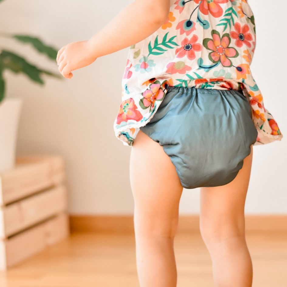 One Size Coolmax Pocket Diaper. Spruce - - MamaMilla